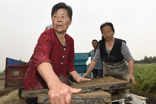 4月13日，和興鎮(zhèn)國防村的農(nóng)民在使用育秧盤培育水稻種子。