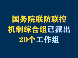 【短視頻題圖】國(guó)務(wù)院聯(lián)防聯(lián)控機(jī)制綜合組已派出20個(gè)工作組.jpg